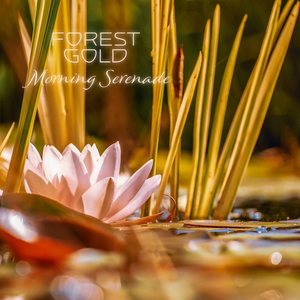 人妖chinesetscd在线
